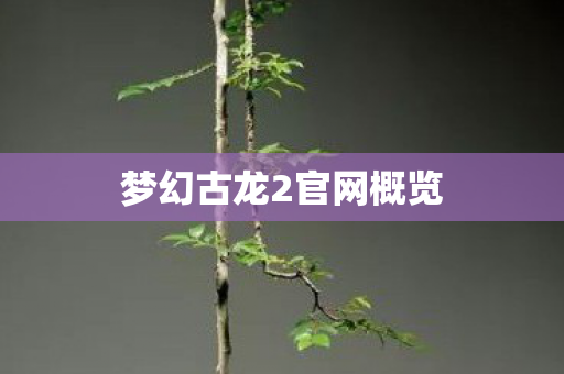 梦幻古龙2官网概览 梦幻古龙2官网概览