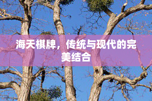 海天棋牌,传统与现代的完美结合 海天棋牌,传统与现代的完美结合