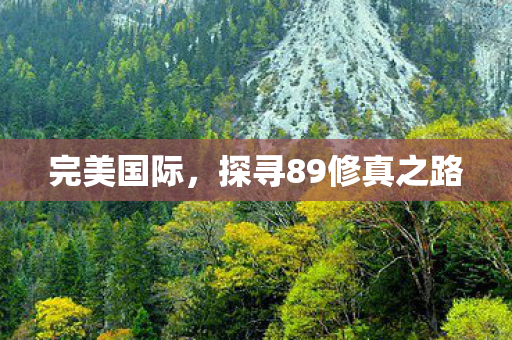 完美国际,探寻89修真之路 完美国际,探寻89修真之路