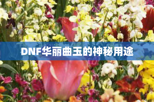 DNF华丽曲玉的神秘用途 DNF华丽曲玉的神秘用途