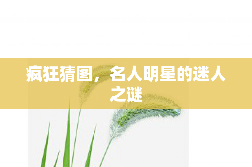 疯狂猜图,名人明星的迷人之谜 疯狂猜图,名人明星的迷人之谜