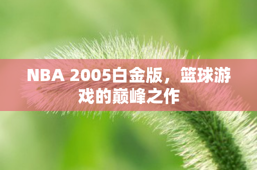 NBA 2005白金版,篮球游戏的巅峰之作 NBA 2005白金版,篮球游戏的巅峰之作