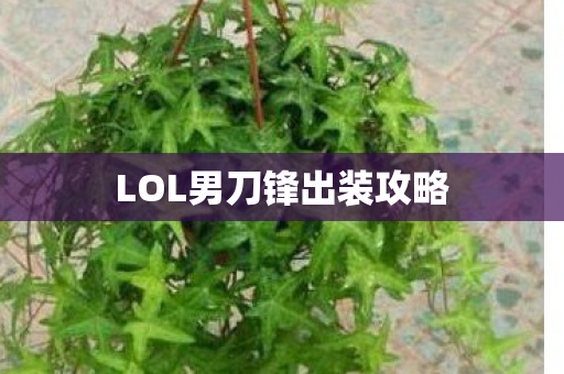 LOL男刀锋出装攻略 LOL男刀锋出装攻略