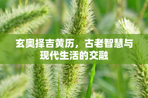 玄奥择吉黄历,古老智慧与现代生活的交融 玄奥择吉黄历,古老智慧与现代生活的交融