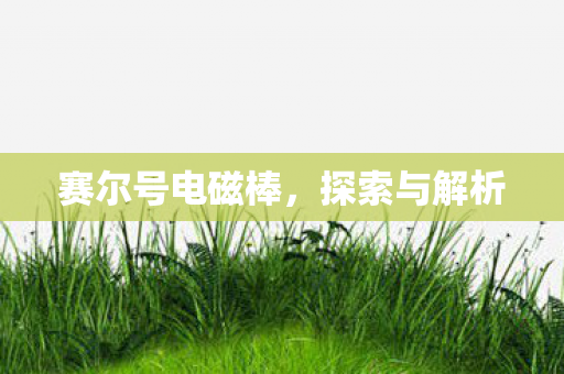 赛尔号电磁棒,探索与解析 赛尔号电磁棒,探索与解析