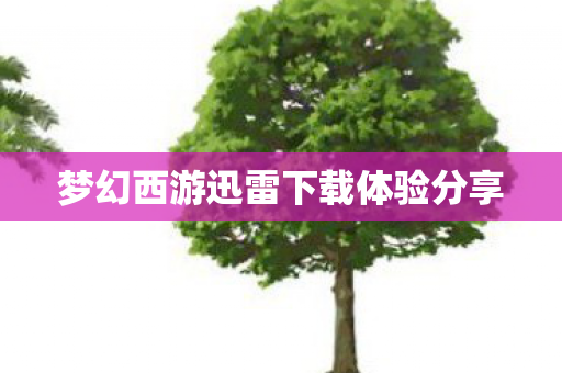梦幻西游迅雷下载体验分享 梦幻西游迅雷下载体验分享