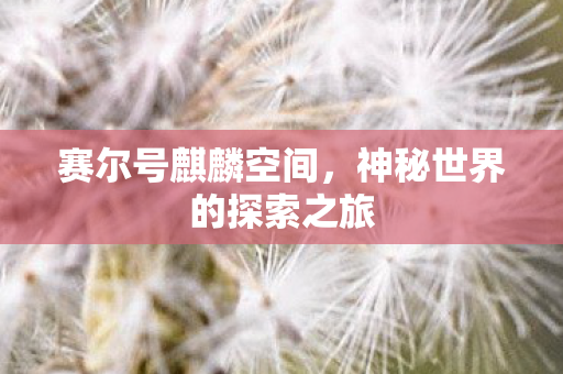 赛尔号麒麟空间,神秘世界的探索之旅 赛尔号麒麟空间,神秘世界的探索之旅