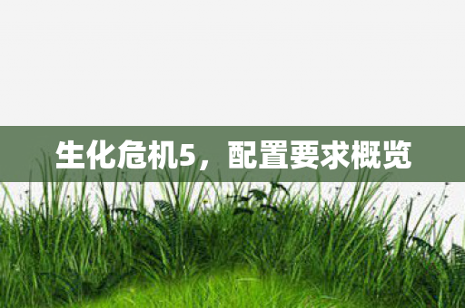 生化危机5，配置要求概览