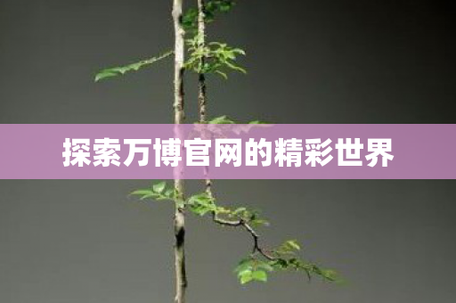 探索万博官网的精彩世界 探索万博官网的精彩世界