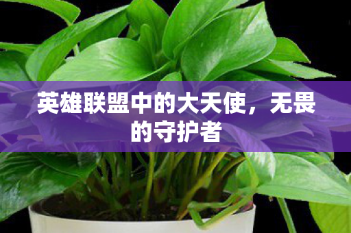 英雄联盟中的大天使,无畏的守护者 英雄联盟中的大天使,无畏的守护者