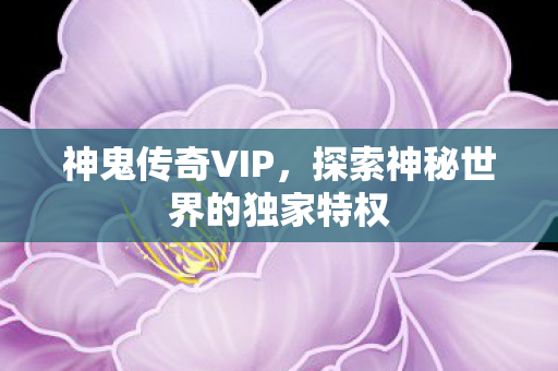 神鬼传奇VIP，探索神秘世界的独家特权