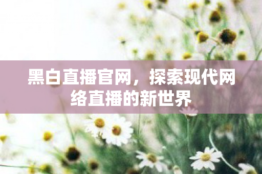 黑白直播官网，探索现代网络直播的新世界