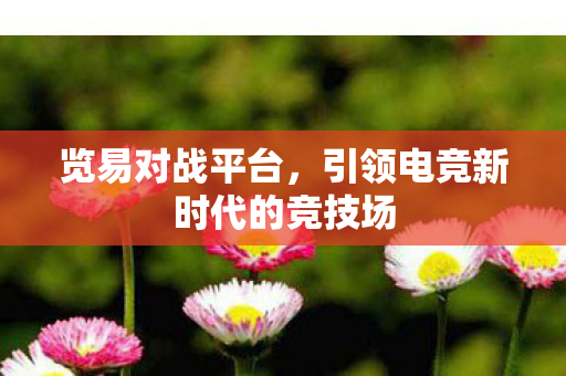 览易对战平台,引领电竞新时代的竞技场 览易对战平台,引领电竞新时代的竞技场