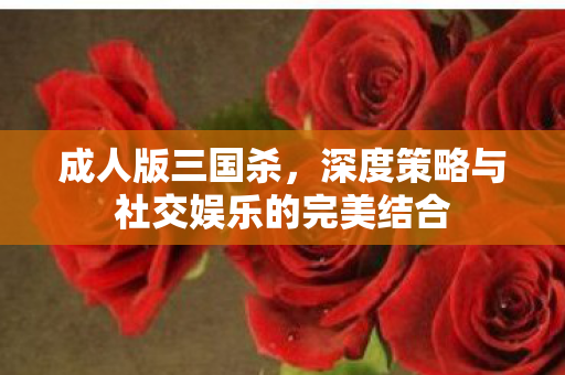 成人版三国杀,深度策略与社交娱乐的完美结合 成人版三国杀,深度策略与社交娱乐的完美结合