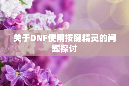 关于DNF使用按键精灵的问题探讨 关于DNF使用按键精灵的问题探讨