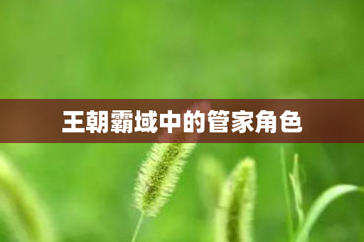 王朝霸域中的管家角色 王朝霸域中的管家角色