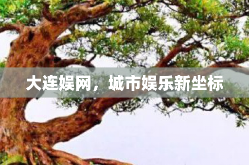 大连娱网,城市娱乐新坐标 大连娱网,城市娱乐新坐标