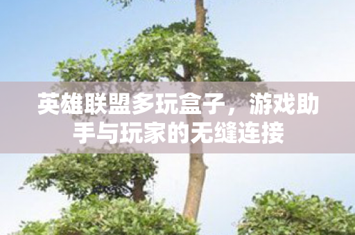 英雄联盟多玩盒子,游戏助手与玩家的无缝连接 英雄联盟多玩盒子,游戏助手与玩家的无缝连接