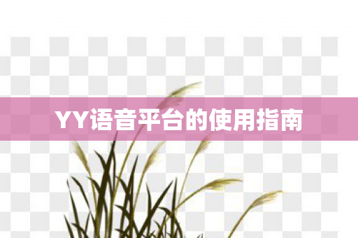 YY语音平台的使用指南 YY语音平台的使用指南