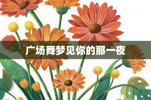 广场舞梦见你的那一夜 广场舞梦见你的那一夜