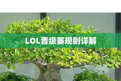 LOL晋级赛规则详解 LOL晋级赛规则详解