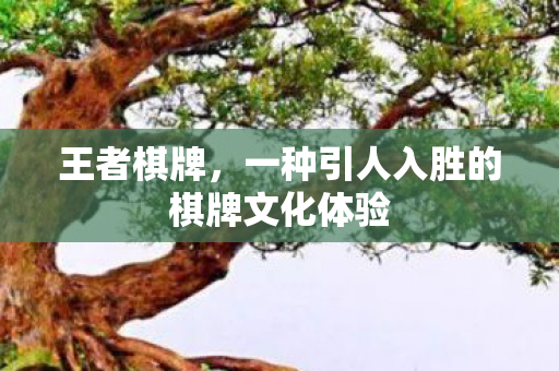 王者棋牌,一种引人入胜的棋牌文化体验 王者棋牌,一种引人入胜的棋牌文化体验
