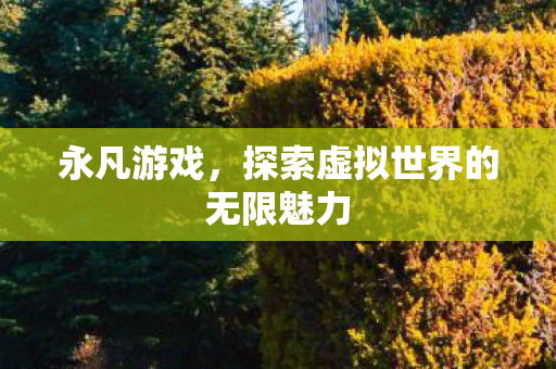 永凡游戏,探索虚拟世界的无限魅力 永凡游戏,探索虚拟世界的无限魅力