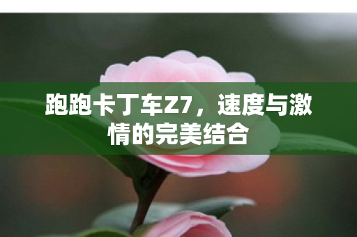 跑跑卡丁车Z7,速度与激情的完美结合 跑跑卡丁车Z7,速度与激情的完美结合