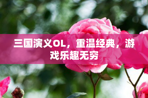 三国演义OL,重温经典,游戏乐趣无穷 三国演义OL,重温经典,游戏乐趣无穷