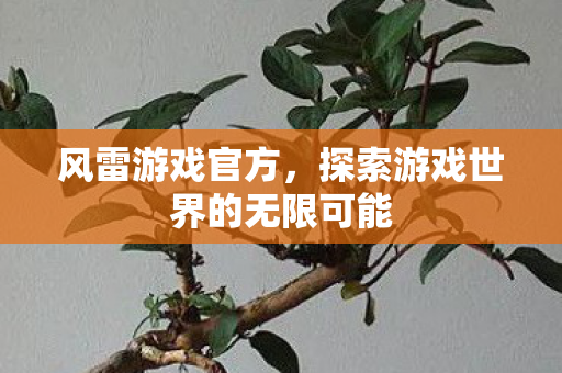 风雷游戏官方,探索游戏世界的无限可能 风雷游戏官方,探索游戏世界的无限可能