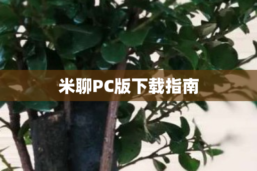 米聊PC版下载指南 米聊PC版下载指南