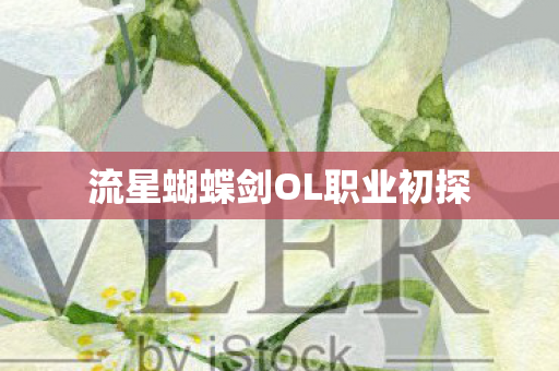 流星蝴蝶剑OL职业初探 流星蝴蝶剑OL职业初探