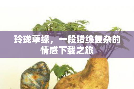 玲珑孽缘,一段错综复杂的情感下载之旅 玲珑孽缘,一段错综复杂的情感下载之旅