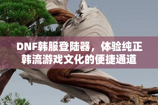 DNF韩服登陆器,体验纯正韩流游戏文化的便捷通道 DNF韩服登陆器,体验纯正韩流游戏文化的便捷通道