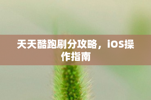 天天酷跑刷分攻略,iOS操作指南 天天酷跑刷分攻略,iOS操作指南