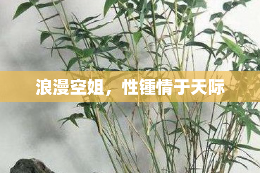 浪漫空姐,性锺情于天际 浪漫空姐,性锺情于天际