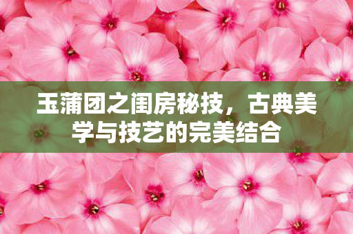 玉蒲团之闺房秘技,古典美学与技艺的完美结合 玉蒲团之闺房秘技,古典美学与技艺的完美结合