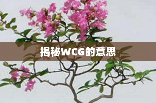 揭秘WCG的意思 揭秘WCG的意思