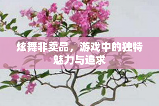 炫舞非卖品,游戏中的独特魅力与追求 炫舞非卖品,游戏中的独特魅力与追求