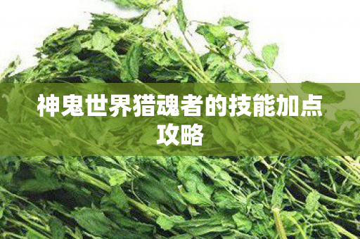 神鬼世界猎魂者的技能加点攻略 神鬼世界猎魂者的技能加点攻略