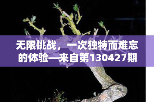 无限挑战,一次独特而难忘的体验—来自第130427期的精彩瞬间 无限挑战,一次独特而难忘的体验—来自第130427期的精彩瞬间