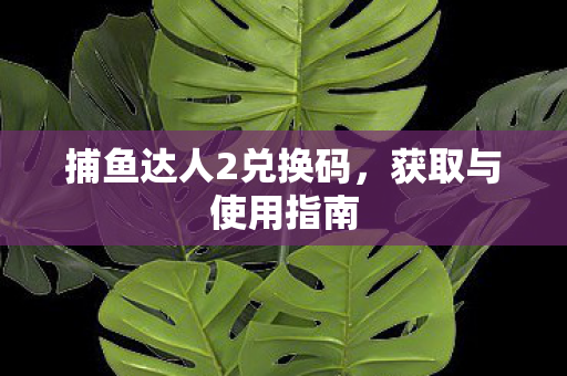 捕鱼达人2兑换码，获取与使用指南