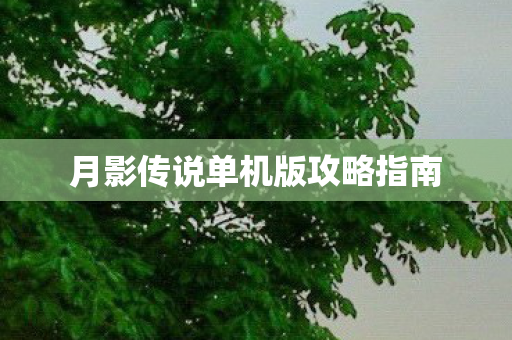 月影传说单机版攻略指南 月影传说单机版攻略指南