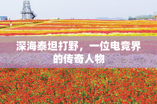 深海泰坦打野,一位电竞界的传奇人物 深海泰坦打野,一位电竞界的传奇人物