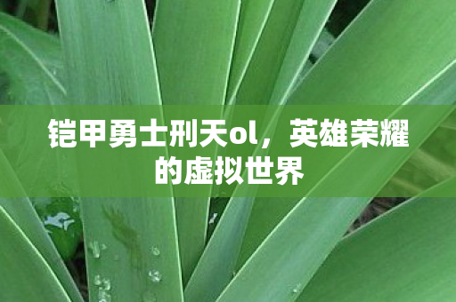 铠甲勇士刑天ol,英雄荣耀的虚拟世界 铠甲勇士刑天ol,英雄荣耀的虚拟世界