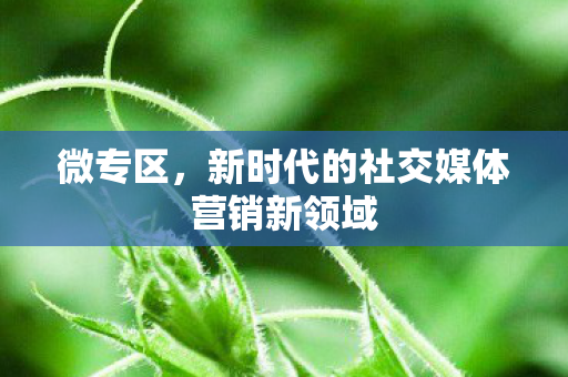 微专区,新时代的社交媒体营销新领域 微专区,新时代的社交媒体营销新领域