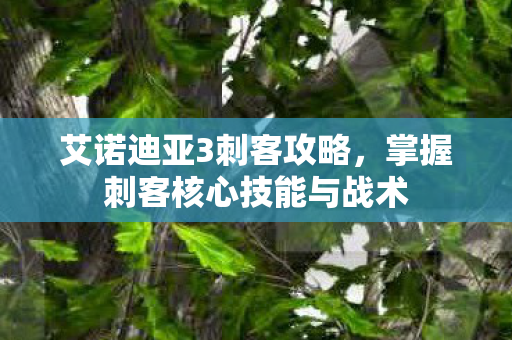 艾诺迪亚3刺客攻略,掌握刺客核心技能与战术 艾诺迪亚3刺客攻略,掌握刺客核心技能与战术