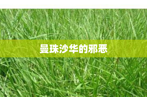 曼珠沙华的邪恶 曼珠沙华的邪恶