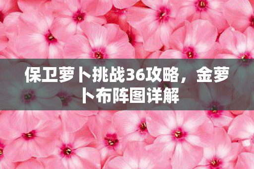 保卫萝卜挑战36攻略,金萝卜布阵图详解 保卫萝卜挑战36攻略,金萝卜布阵图详解