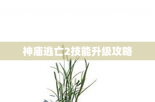 神庙逃亡2技能升级攻略 神庙逃亡2技能升级攻略